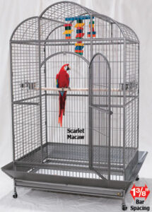 Bird Cage Size Chart