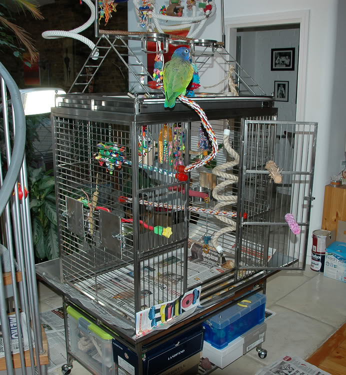 Stainless Steel Playtop Cage