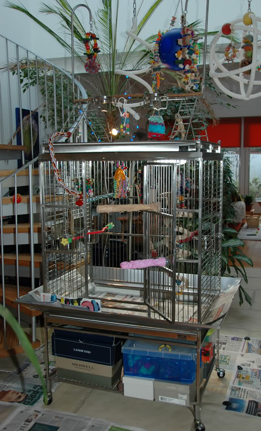 amazing bird cages