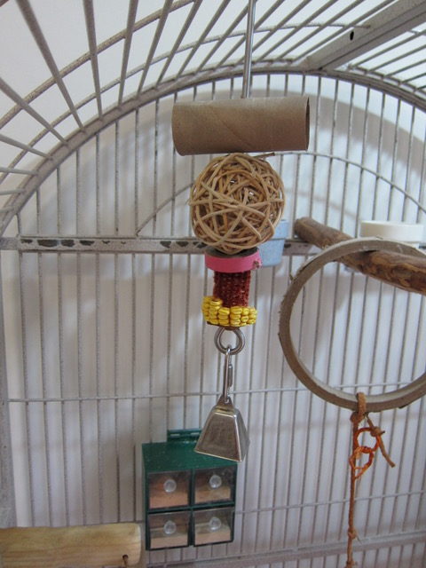 View of macaw cage with shredding toys