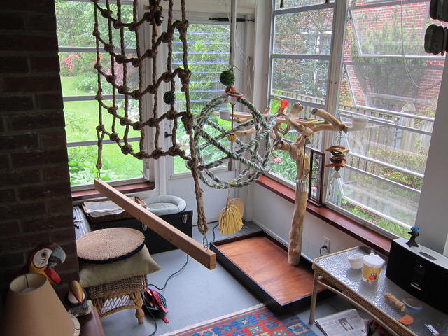 Macaw playroom in enclosed patio area